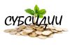 Климовчанам рассказали, куда обращаться за субсидией по открытию бизнеса