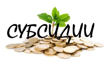 Климовчанам рассказали, куда обращаться за субсидией по открытию бизнеса Главная