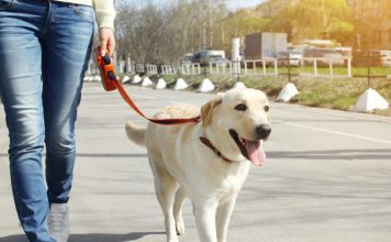 Главная