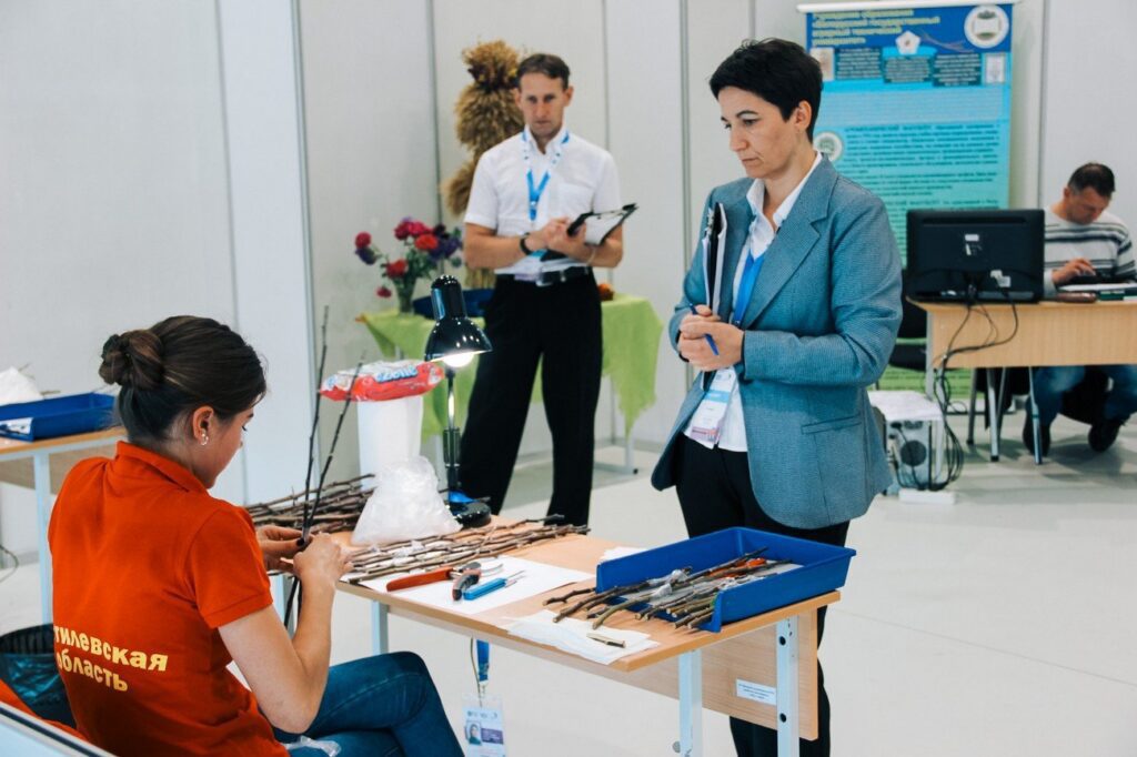 Представители Могилевской области показали высокие результаты на конкурсе  WORLDSKILLS BELARUS