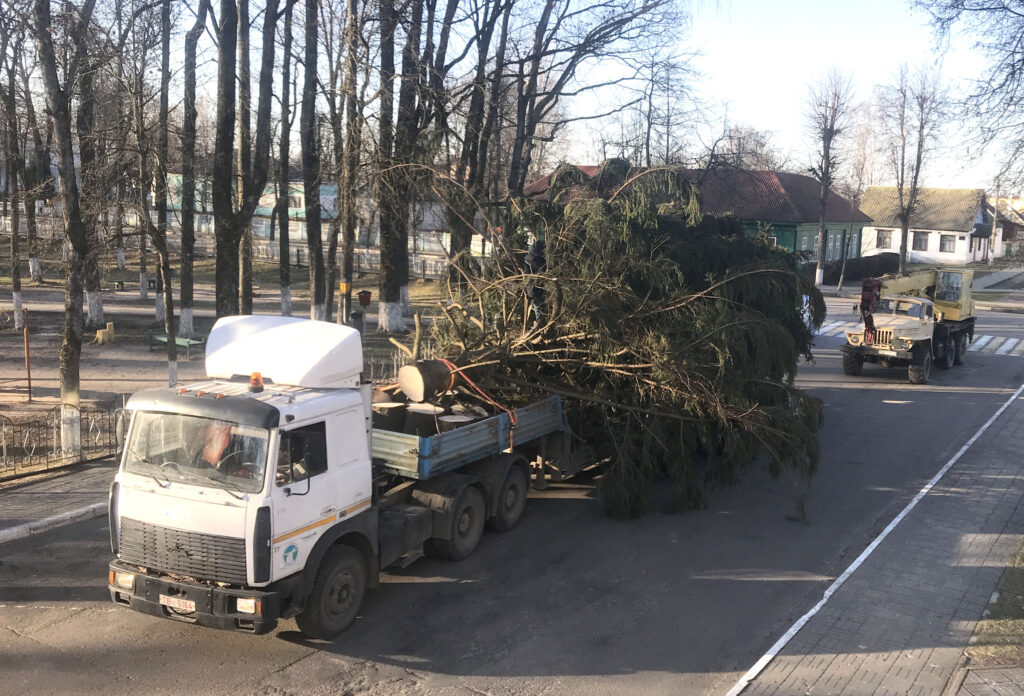 ФОТОФАКТ:  Главная елка прибыла на центральную площадь Климовичей