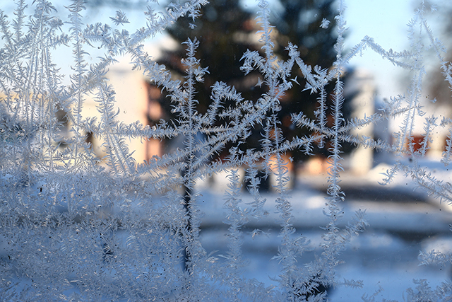 Ночные морозы до -15°С, снег и гололедица. Как начнется зима в Беларуси