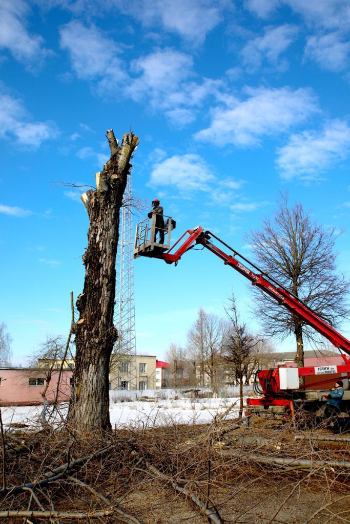 Специалисты УЗ «Климовичский райЦГЭ» приглашают горожан и сельчан включиться в работы по благоустройству