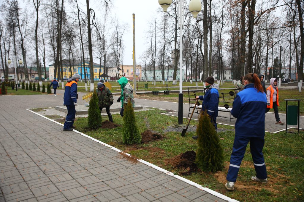 Труженики УКП «Коммунальник» высадили десятки туй в общественных местах г. Климовичи