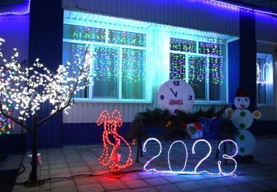 ФОТО: Новогодние огни Климовичей в объективе Валерия Осмоловского