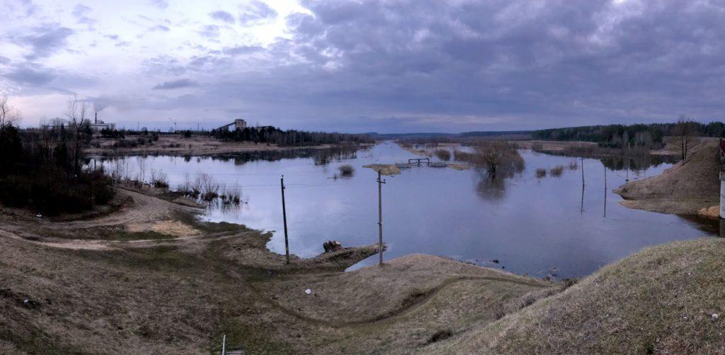В Климовичах подтопило некоторые частные подворья