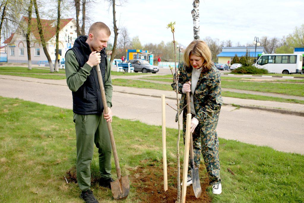 Руководство Климовичского района вместе с молодежью высадили каштаны по улице Карла Маркса