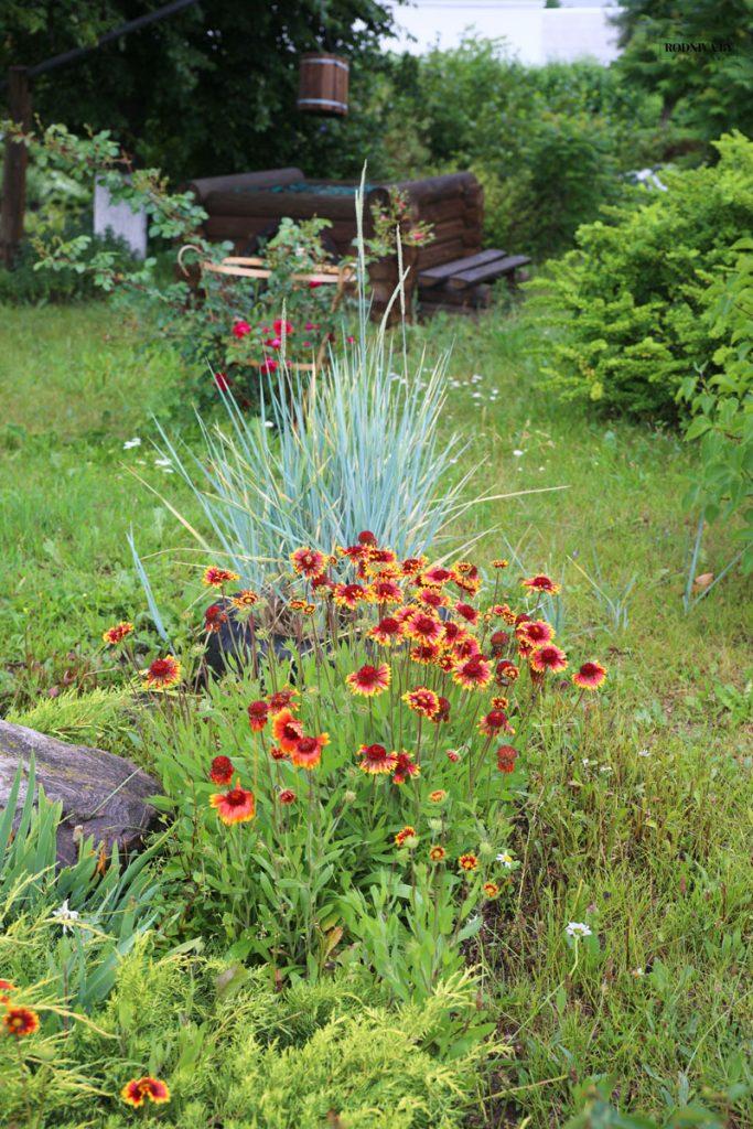 Климовчан приглашают активнее участвовать в мероприятиях по благоустройству