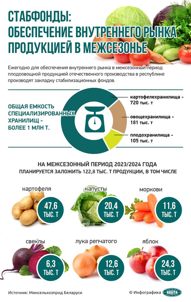 В Могилевской области планируется заложить в стабфонд почти 14,4 тыс. тонн плодоовощной продукции