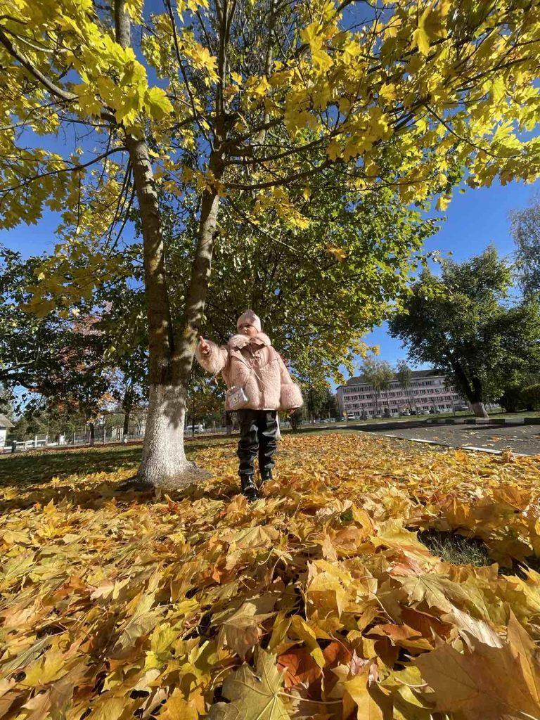 Победителям конкурса «Любимая Климовщина: яркие краски осени» вручили заслуженные награды