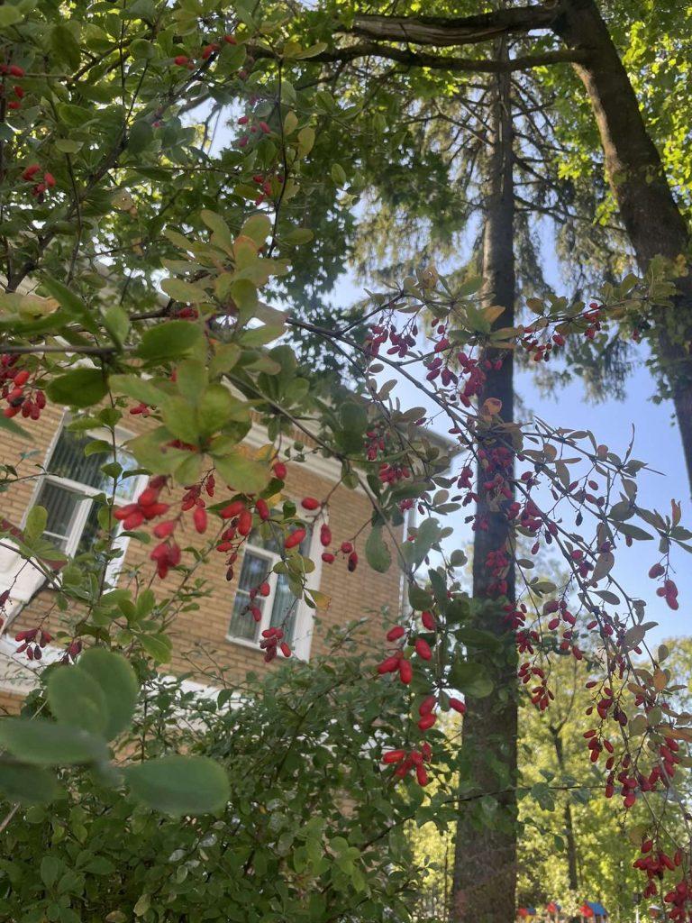 Победителям конкурса «Любимая Климовщина: яркие краски осени» вручили заслуженные награды