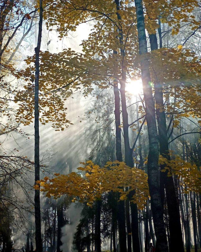 Победителям конкурса «Любимая Климовщина: яркие краски осени» вручили заслуженные награды