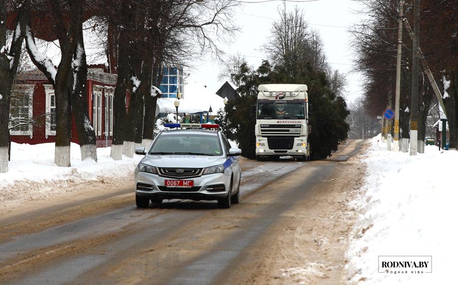 Главную новогоднюю елку района доставили в Климовичи