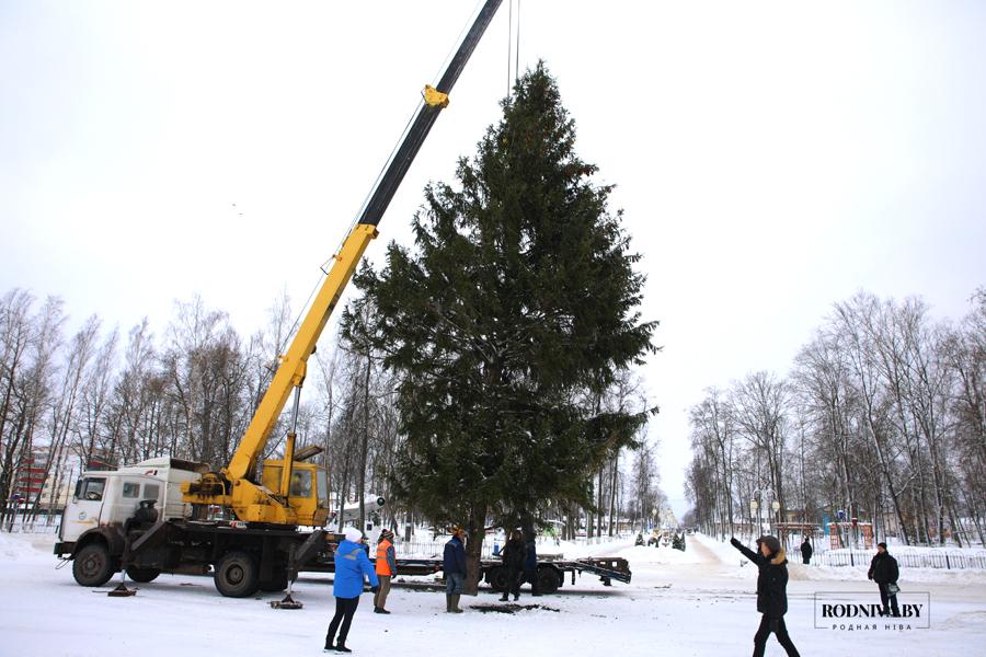 Главную новогоднюю елку района доставили в Климовичи