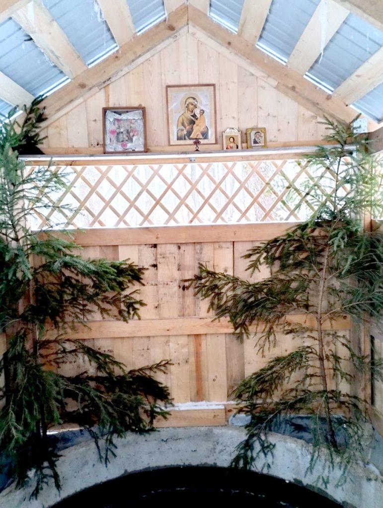 В Милославичи и Юрьевичи Климовичского района будет организован подвоз людей 19 января