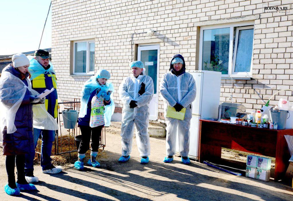 На Климовщине состоялся районный семинар-учеба по вопросам развития животноводческой отрасли