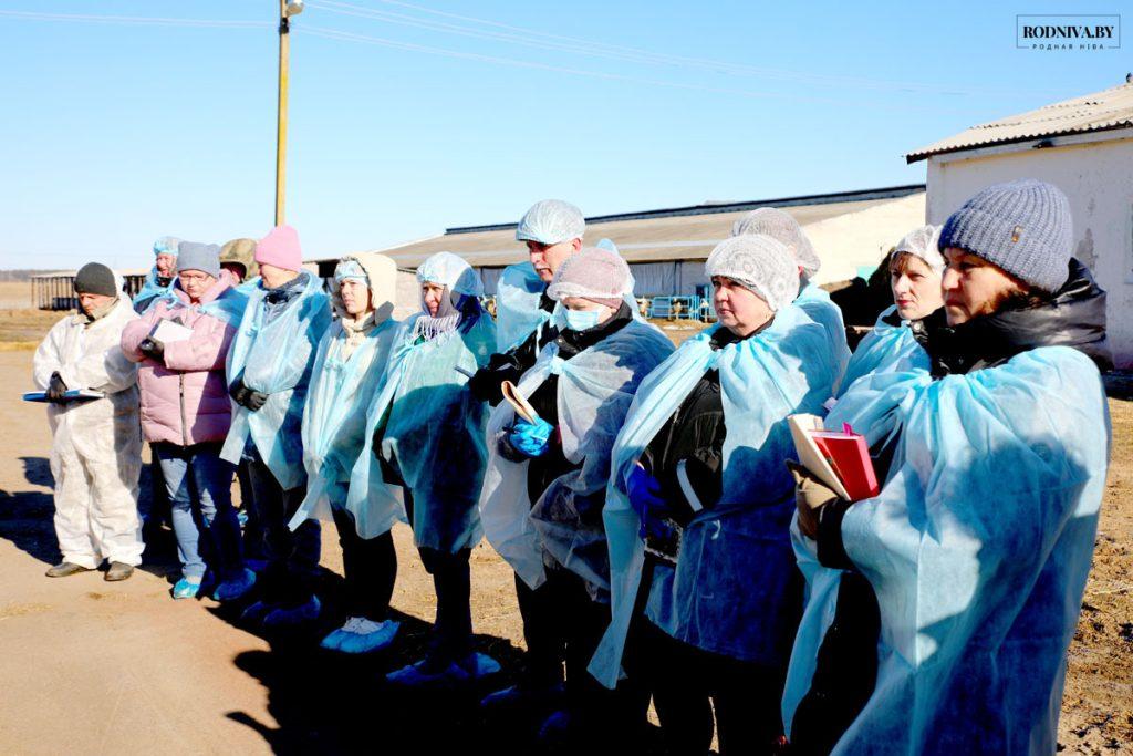 На Климовщине состоялся районный семинар-учеба по вопросам развития животноводческой отрасли