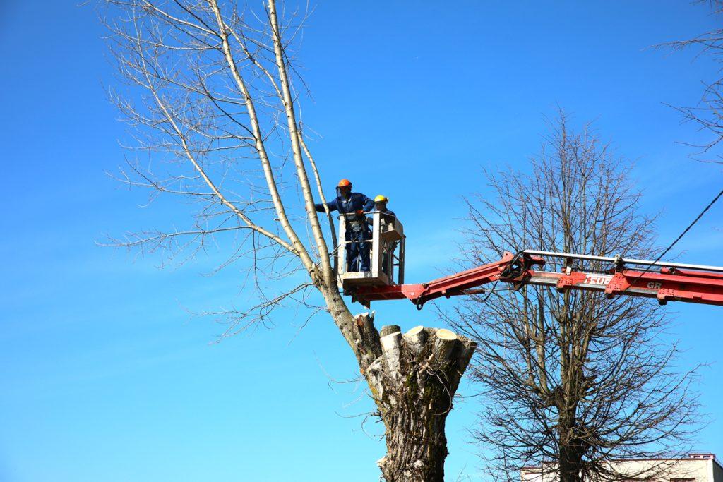 Климовчане трудятся на благоустройстве родного города