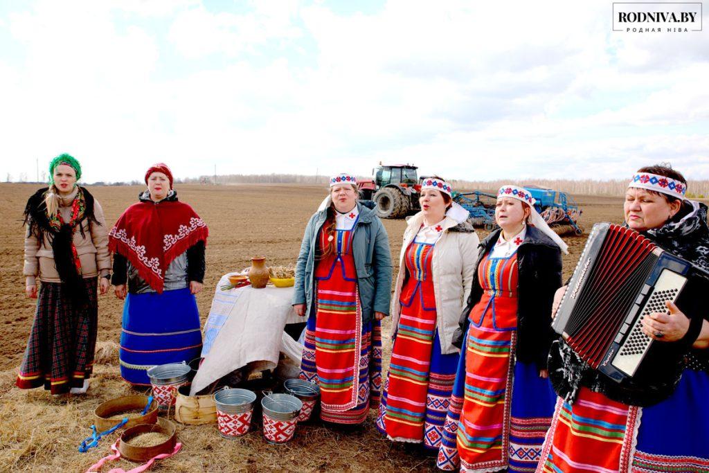 Районные засевки провели в ОАО «Племзавод «Тимоново»