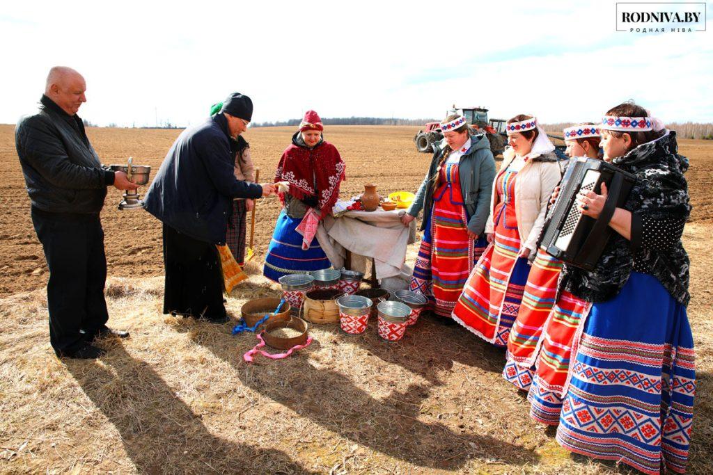Районные засевки провели в ОАО «Племзавод «Тимоново»