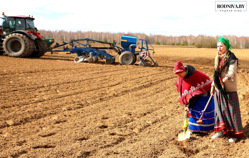 Районные засевки провели в ОАО «Племзавод «Тимоново»