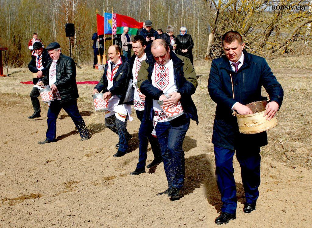 Районные засевки провели в ОАО «Племзавод «Тимоново»