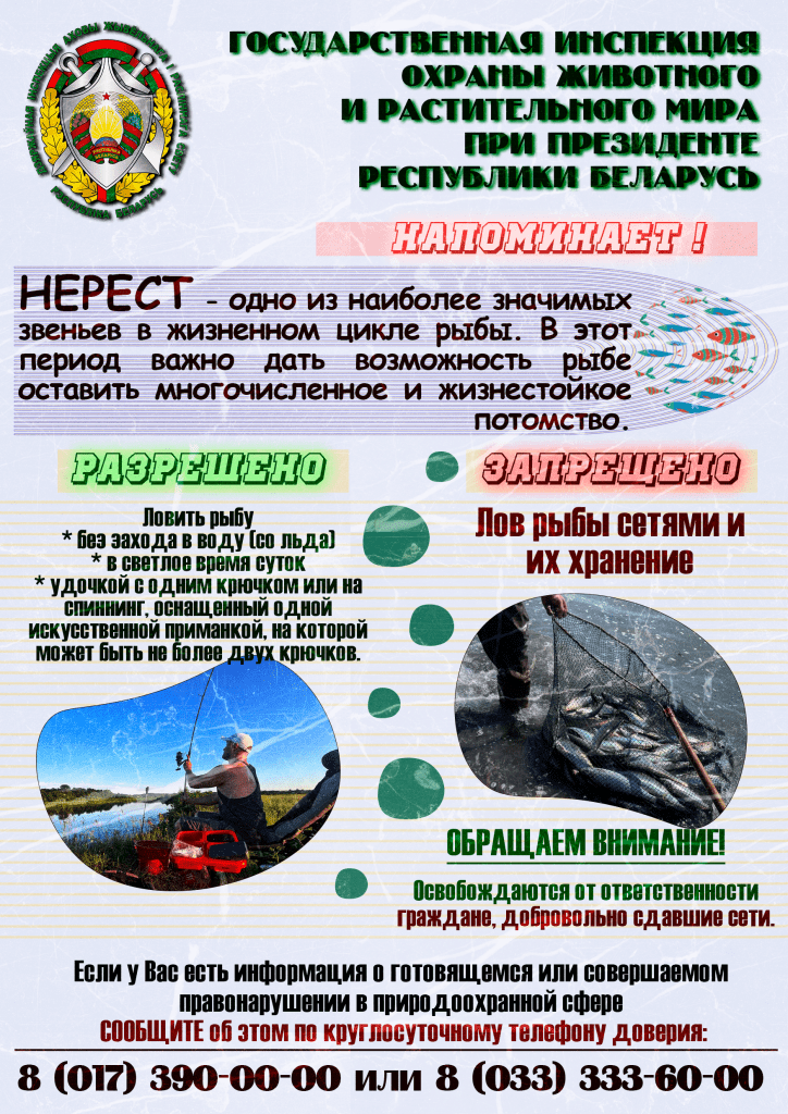 В Могилевской области с 1 апреля по 30 мая пройдет специальное комплексное мероприятие «Нерест»