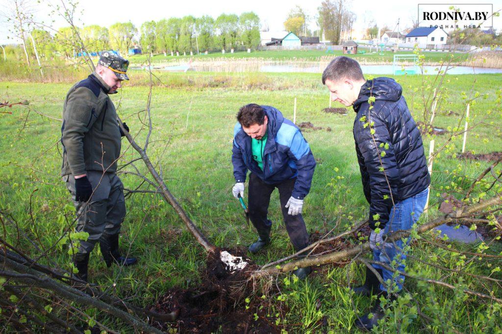 На Климовщине проходит республиканский субботник