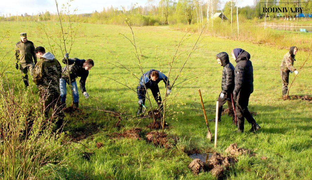 На Климовщине проходит республиканский субботник
