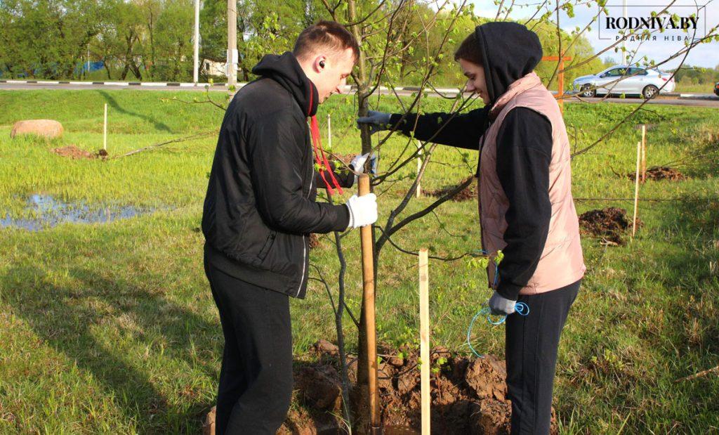 На Климовщине проходит республиканский субботник