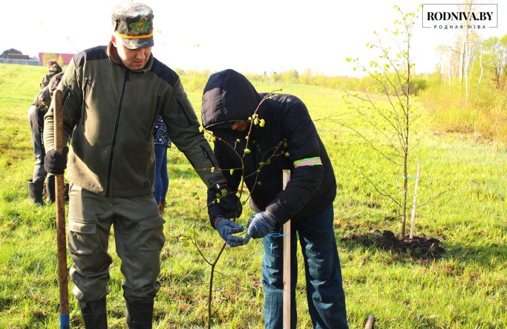 На Климовщине проходит республиканский субботник