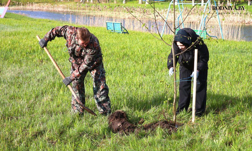 На Климовщине проходит республиканский субботник