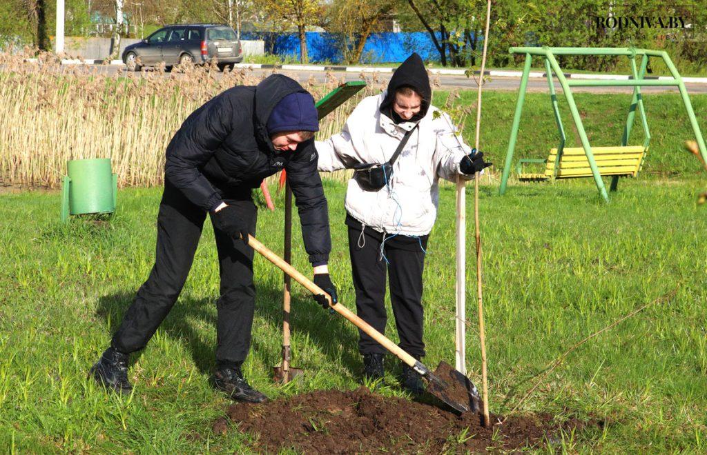 На Климовщине проходит республиканский субботник