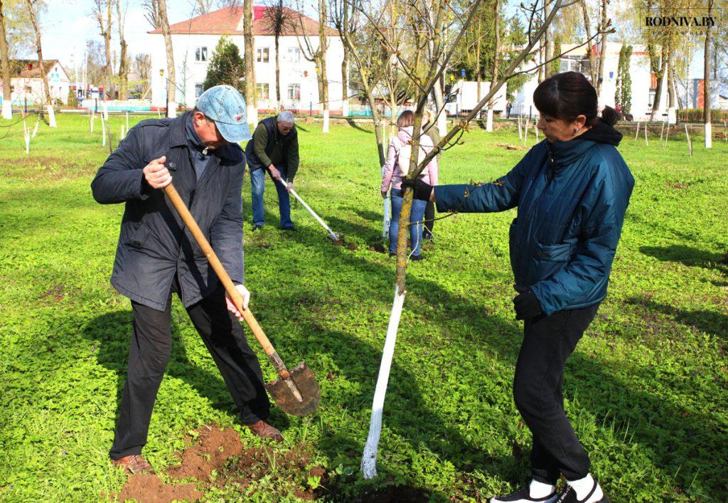 Климовчане благоустраивают общественные территории