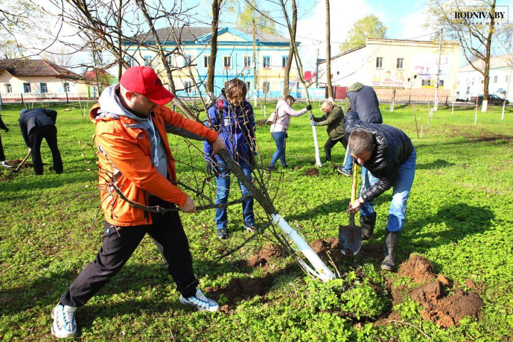 Климовчане благоустраивают общественные территории