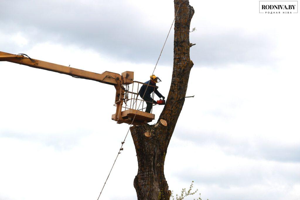 Жители Климовичей благоустраивают общественные территории