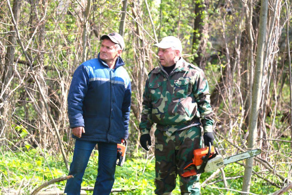 Более 6 тыс. климовчан приняли участие в республиканском субботнике
