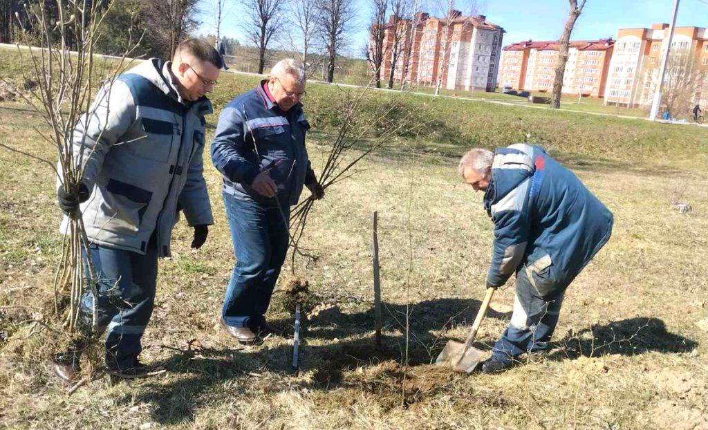 На Климовщине проходит единый день озеленения