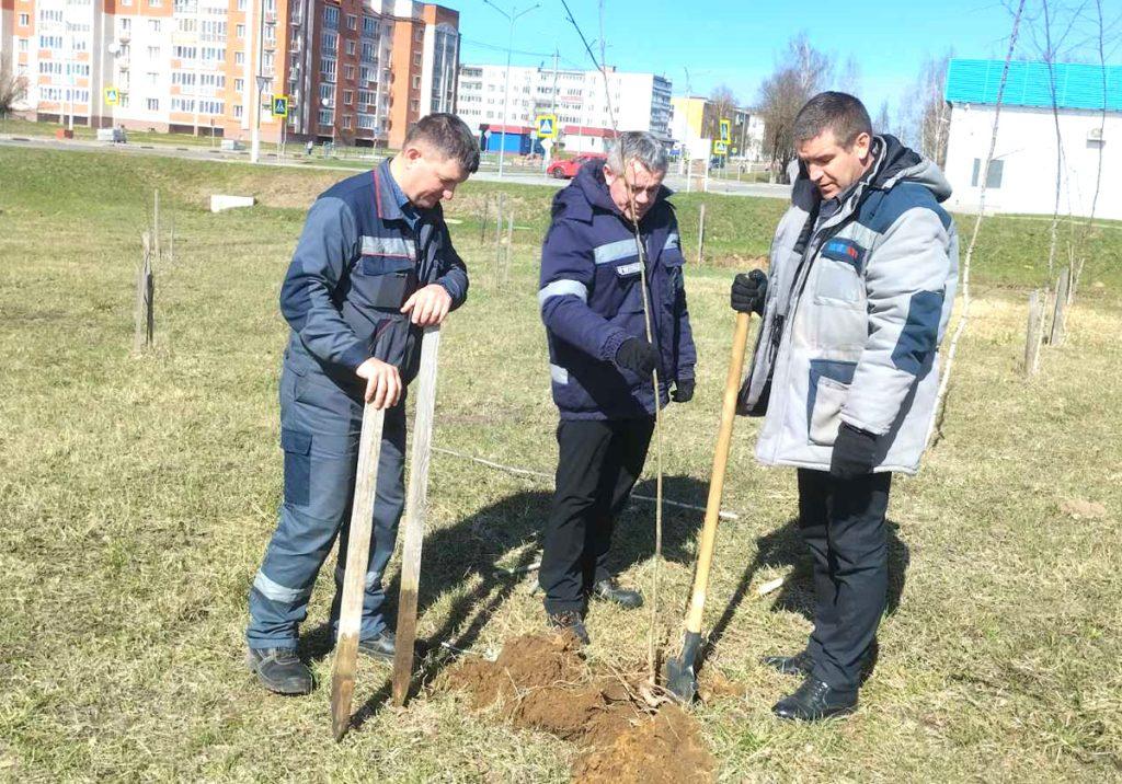 На Климовщине проходит единый день озеленения