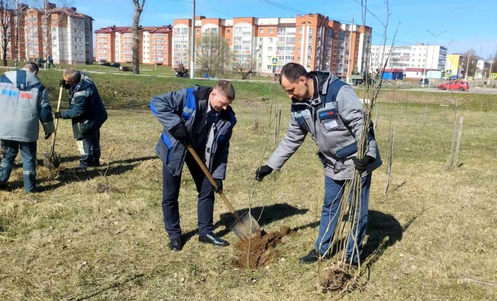 На Климовщине проходит единый день озеленения
