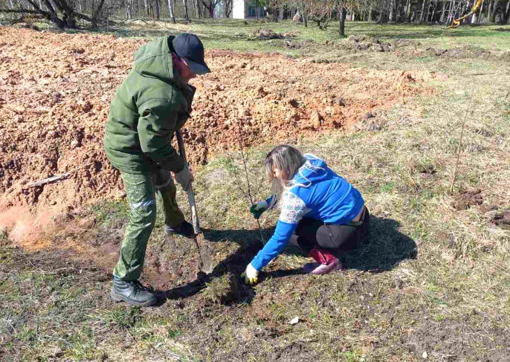На Климовщине проходит единый день озеленения