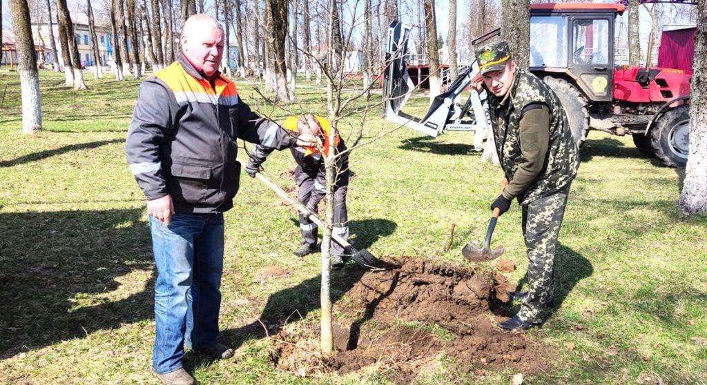 Работники Климовичского лесхоза провели субботник