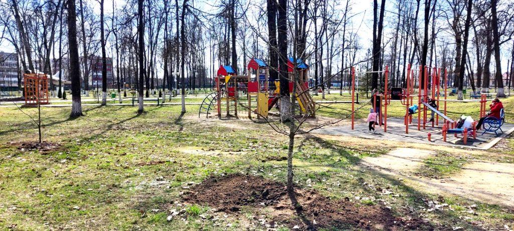 Работники Климовичского лесхоза провели субботник