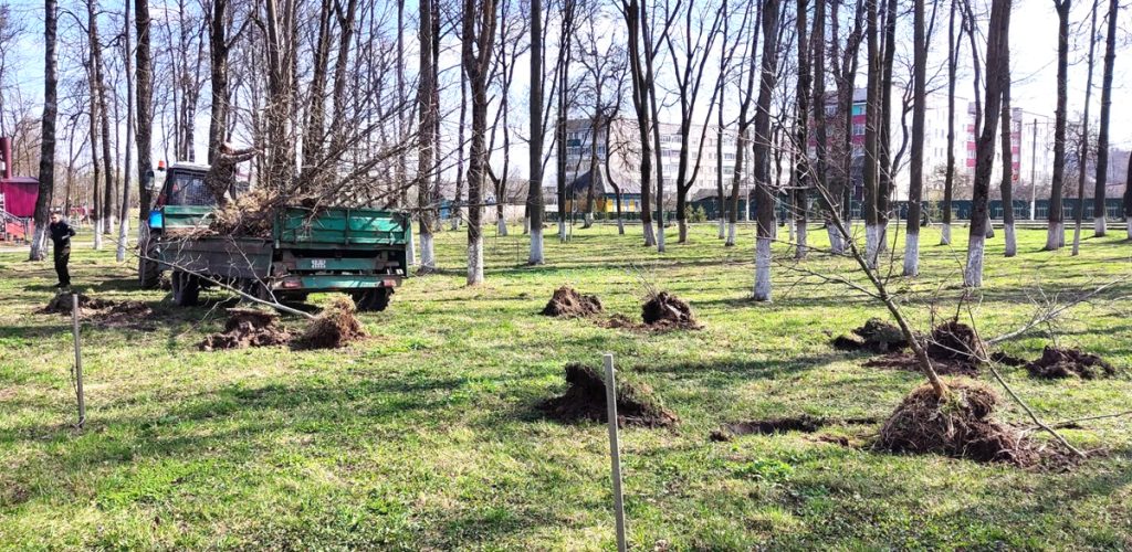 Работники Климовичского лесхоза провели субботник