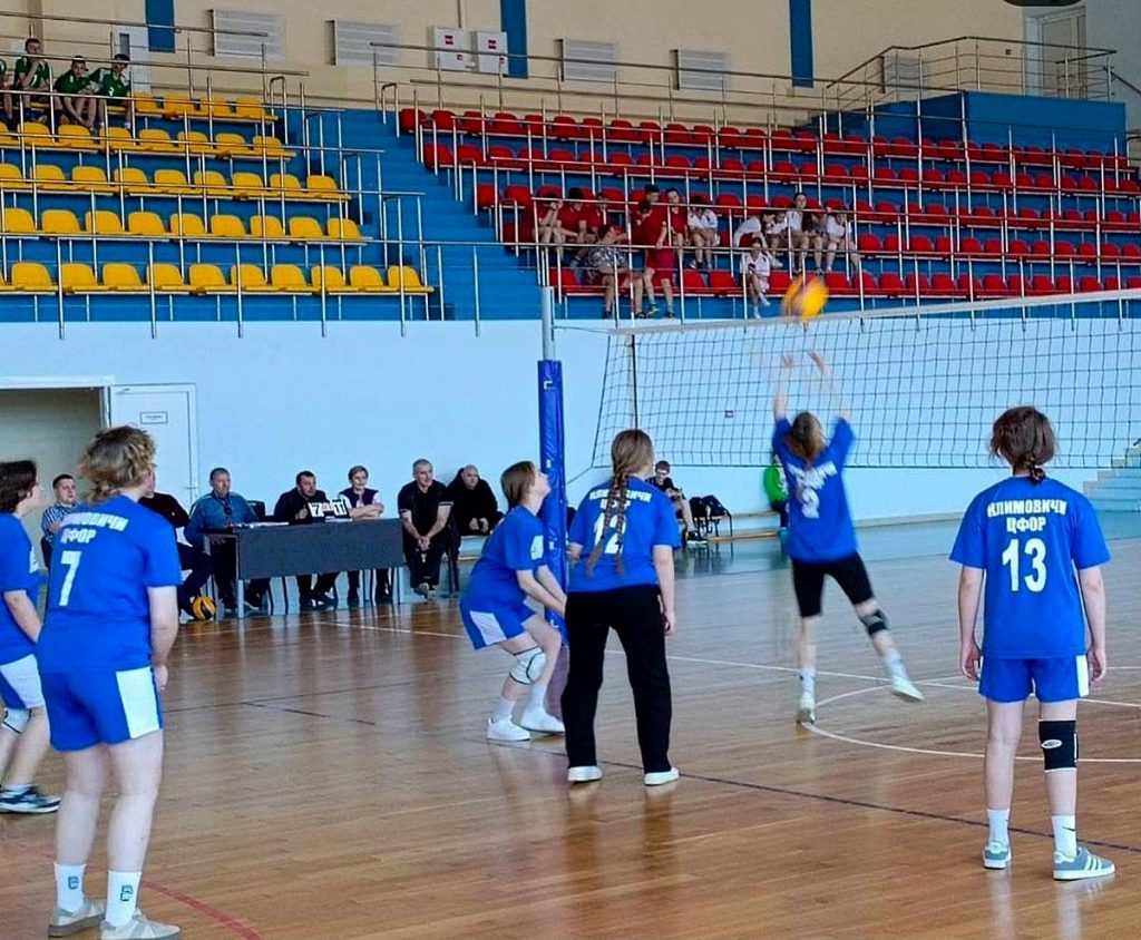 Климовчане завоевали два серебра волейбольного турнира
