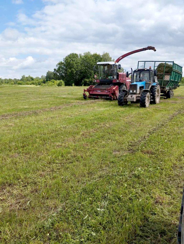 В ОАО «Роднянский» стремятся заготовить корма впрок