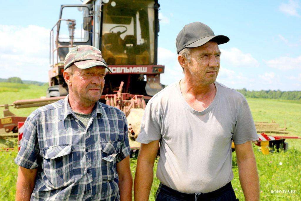 Аграрии ОАО «Племзавод «Тимоново» ведут заготовку травяных кормов