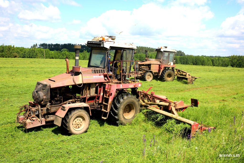 Аграрии ОАО «Племзавод «Тимоново» ведут заготовку травяных кормов