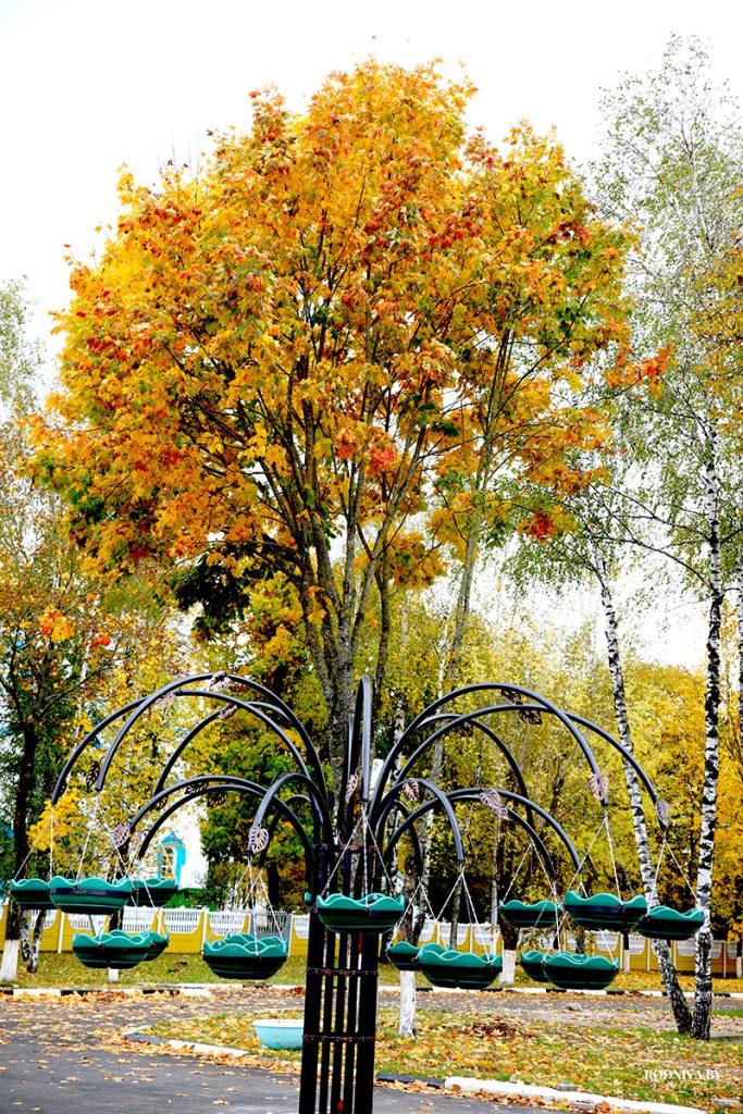 ФОТОФАКТ: яркие краски осени в Климовичах