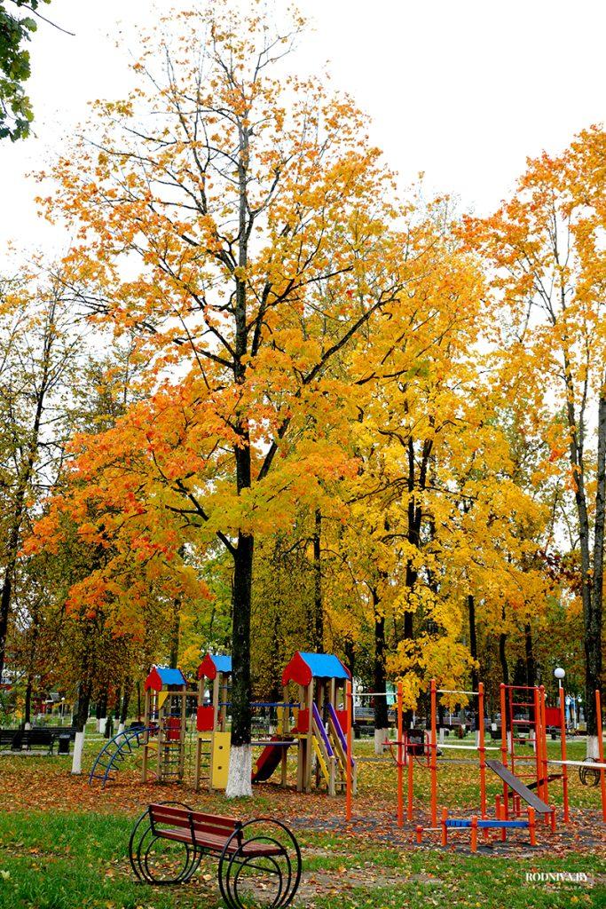 ФОТОФАКТ: яркие краски осени в Климовичах